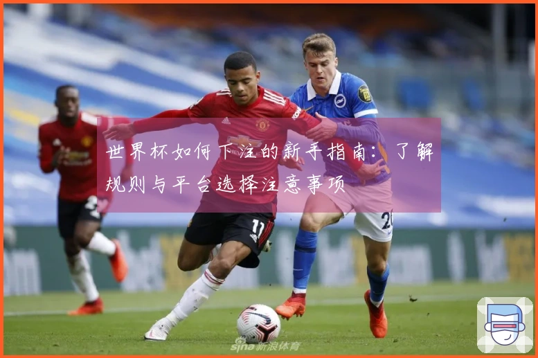 世界杯如何下注的新手指南：了解规则与平台选择注意事项