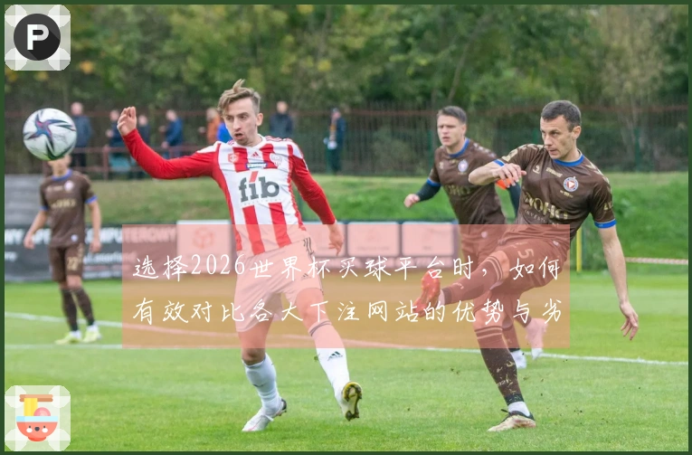选择2026世界杯买球平台时，如何有效对比各大下注网站的优势与劣势？