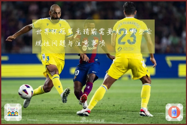世界杯冠军竞猜前需要关注哪些合规性问题与注意事项