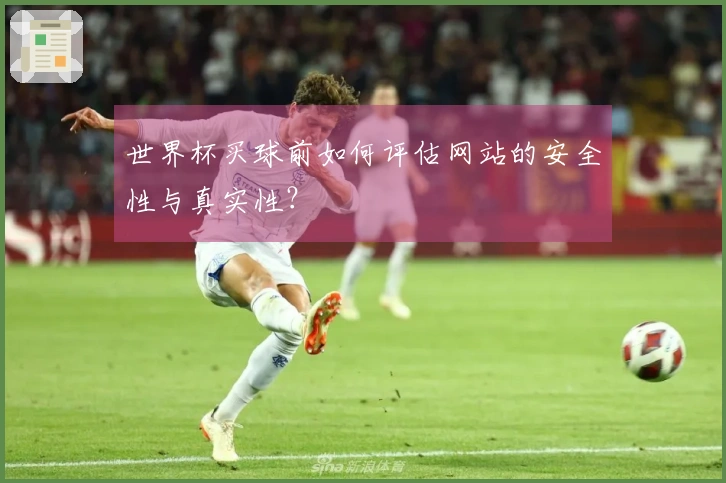 世界杯买球前如何评估网站的安全性与真实性？