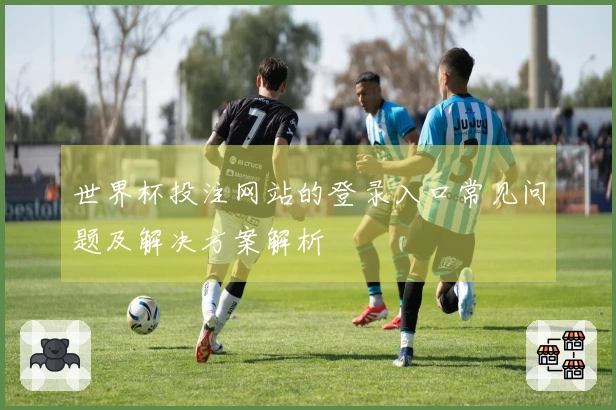 世界杯投注网站的登录入口常见问题及解决方案解析