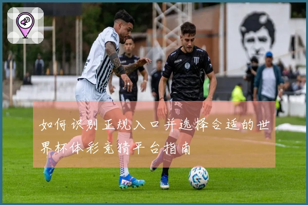 如何识别正规入口并选择合适的世界杯体彩竞猜平台指南