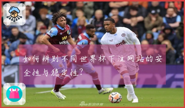 如何辨别不同世界杯下注网站的安全性与稳定性？