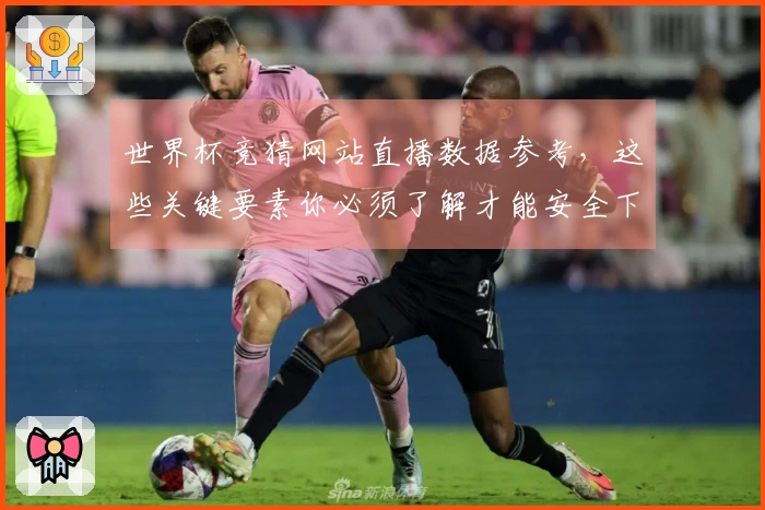 世界杯竞猜网站直播数据参考，这些关键要素你必须了解才能安全下注
