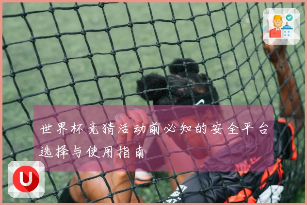 世界杯竞猜活动前必知的安全平台选择与使用指南