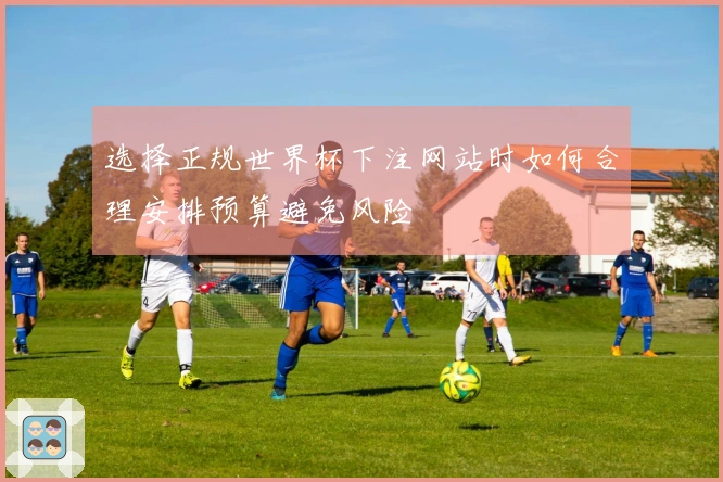 选择正规世界杯下注网站时如何合理安排预算避免风险