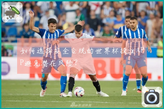 如何选择安全合规的世界杯投注APP避免潜在风险？