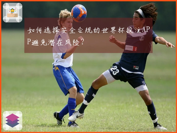 如何选择安全合规的世界杯投注APP避免潜在风险？