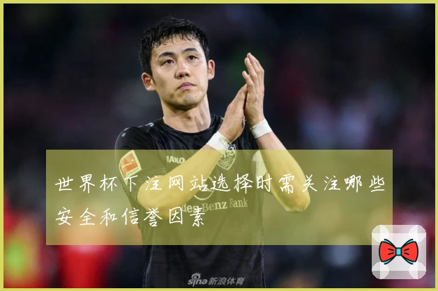 世界杯下注网站选择时需关注哪些安全和信誉因素