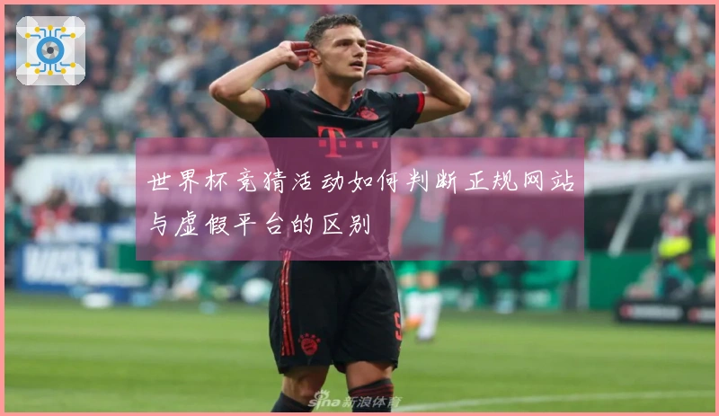 世界杯竞猜活动如何判断正规网站与虚假平台的区别