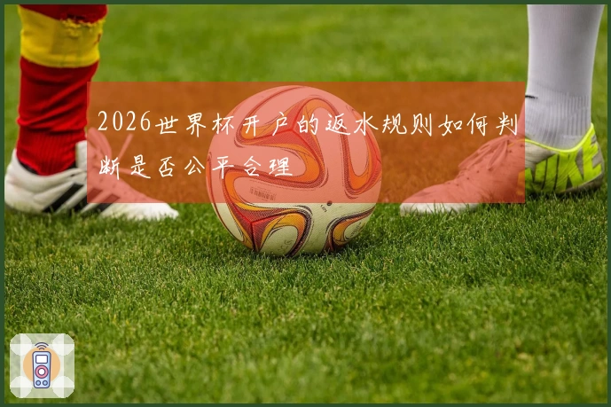 2026世界杯开户的返水规则如何判断是否公平合理