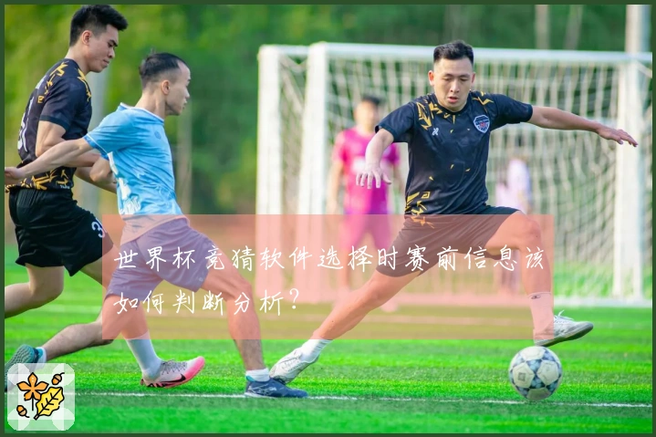 世界杯竞猜软件选择时赛前信息该如何判断分析？