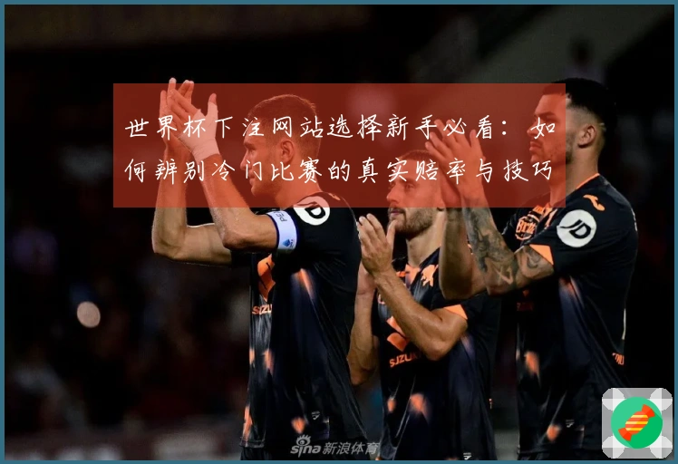 世界杯下注网站选择新手必看：如何辨别冷门比赛的真实赔率与技巧