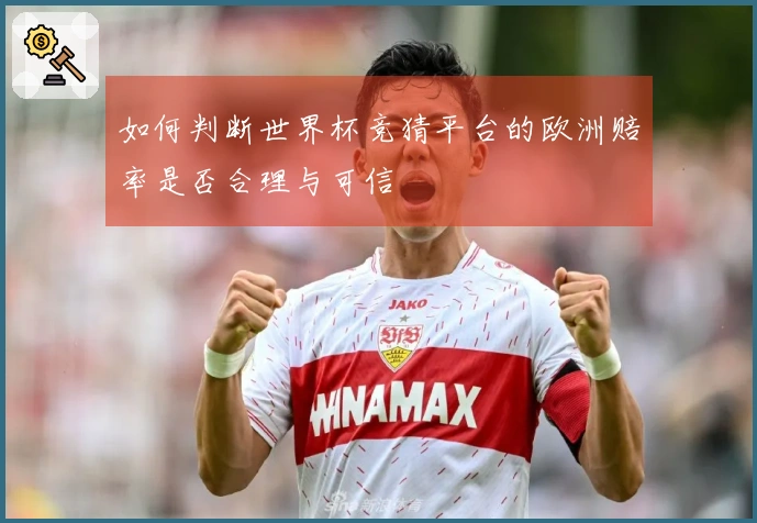 如何判断世界杯竞猜平台的欧洲赔率是否合理与可信