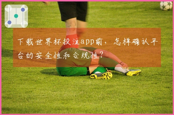 下载世界杯投注app前，怎样确认平台的安全性和合规性？