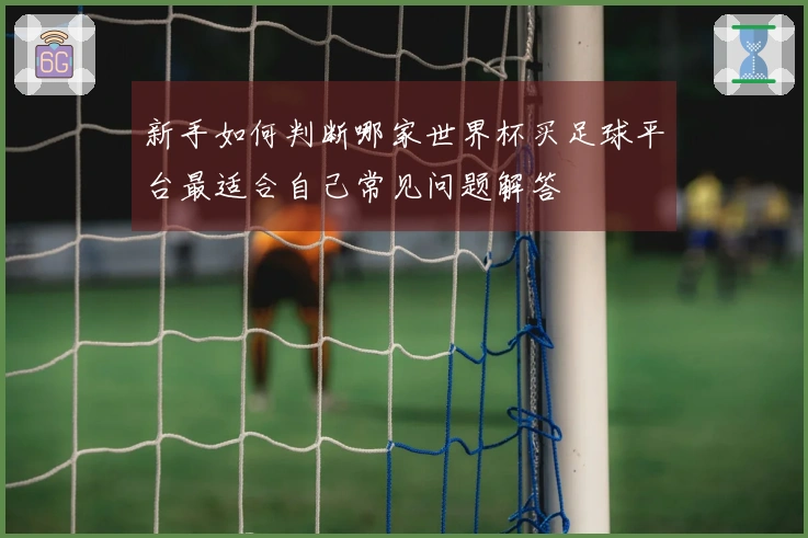 新手如何判断哪家世界杯买足球平台最适合自己常见问题解答